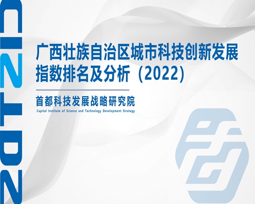 抽插在线免费网站【成果发布】广西壮族自治区城市科技创新发展指数排名及分析（2022）